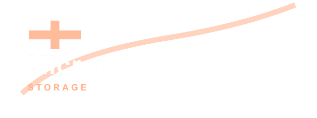 Micron